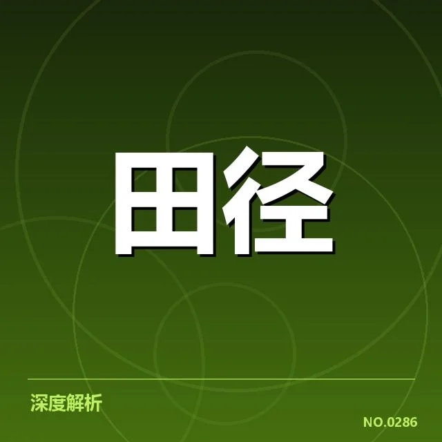 核心队员和赛程安排的具体信息
